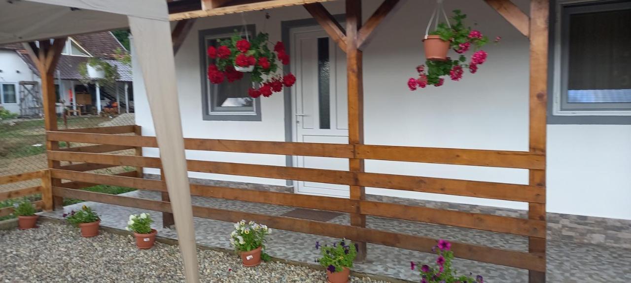 Casa Claudiu Villa เอเชลนิทซา ภายนอก รูปภาพ