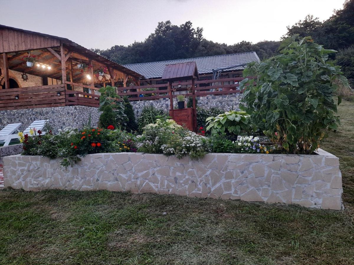 Casa Claudiu Villa เอเชลนิทซา ภายนอก รูปภาพ